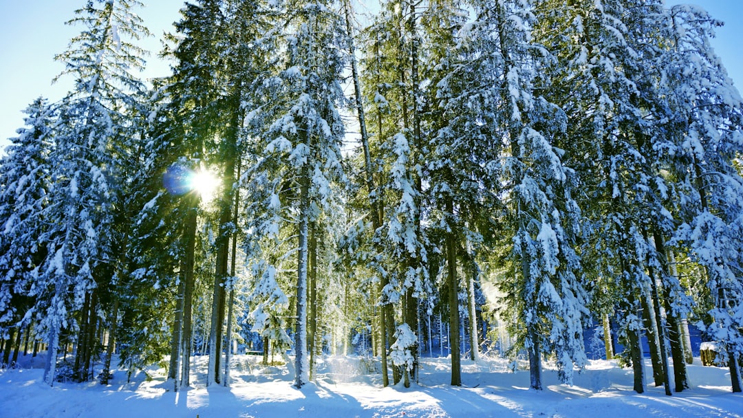 Suplementos para combatir el cansancio y la fatiga invernal